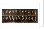 Man performing acrobatics by Eadweard Muybridge