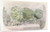 The Promenade, Cheltenham by Phyllis Ginger