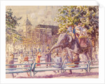 Elephant Riding, Zoological Gardens, Regent's Park, London by Walter Bayes