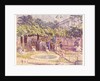 Pelican Ponds, Zoological Gardens by Walter Bayes
