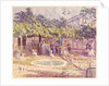 Pelican Ponds, Zoological Gardens by Walter Bayes