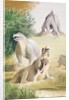 Life-size models of Jurassic reptiles in the grounds of the Crystal Palace, Sydenham by Barbara Jones