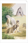 Life-size models of Jurassic reptiles in the grounds of the Crystal Palace, Sydenham by Barbara Jones