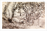 Rimmer's Pond, Ridley by Thomas Hennell
