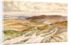 View from the Wansdyke in Stanton, St. Bernard by Vincent Henry Lines