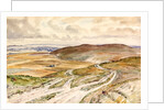 View from the Wansdyke in Stanton, St. Bernard by Vincent Henry Lines