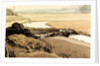 The Cuckmere at Litlington by Hilder