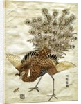 A Peacock and A Mole Cricket by Isoda Koryûsai