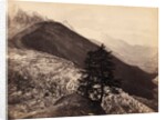 Glacier des Bois Mt Blanc by Francis Frith & Co.