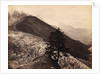 Glacier des Bois Mt Blanc by Francis Frith & Co.