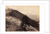 Glacier des Bois Mt Blanc by Francis Frith & Co.