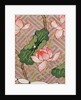 Marriage Robe, detail of a lotus flowers. China, 19th century by Unknown