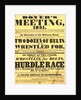 Poster of Dover's meeting advertising details of its festival by Anonymous