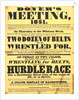 Poster of Dover's meeting advertising details of its festival by Anonymous