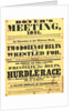 Poster of Dover's meeting advertising details of its festival by Anonymous