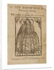 The Troubles of Queene Elizabeth by Anonymous