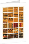 Plate 17 - Greek patterns by Owen Jones