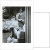 Princess Margaret by Cecil Beaton