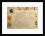 Letters patent in the name of William III and Mary II by Anonymous