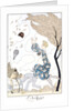 L' Air by George Barbier