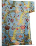 Man's nightgown with bizarre design, detail by Unknown