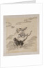 Lohan riding on the back of a tiger by Anonymous