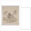 Lohan riding what is possibly a sea-horse by Anonymous