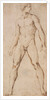 Study of the nude figure of a man by Raphael