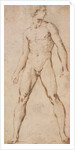Study of the nude figure of a man by Raphael