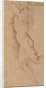 Nude figure of a man holding by Jacopo Palma