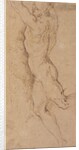 Nude figure of a man holding by Jacopo Palma