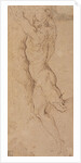 Nude figure of a man holding by Jacopo Palma