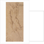 Nude figure of a man holding by Jacopo Palma