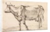 Cow walking towards the left by Paulus Potter