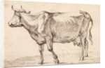 Cow walking towards the left by Paulus Potter