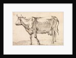 Cow walking towards the left by Paulus Potter