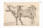 Cow walking towards the left by Paulus Potter
