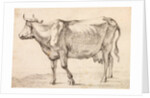 Cow walking towards the left by Paulus Potter