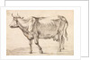 Cow walking towards the left by Paulus Potter