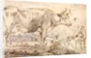 Study of two cows by Paulus Potter