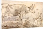 Study of two cows by Paulus Potter