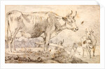 Study of two cows by Paulus Potter