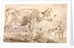 Study of two cows by Paulus Potter