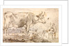 Study of two cows by Paulus Potter