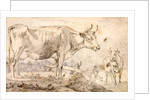 Study of two cows by Paulus Potter