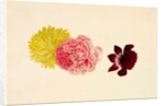Flowers - Rose and French Marigold by Alexander Dyce
