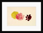 Flowers - Rose and French Marigold by Alexander Dyce
