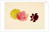Flowers - Rose and French Marigold by Alexander Dyce