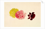 Flowers - Rose and French Marigold by Alexander Dyce
