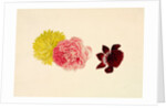 Flowers - Rose and French Marigold by Alexander Dyce